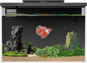Smart 4 Gallon Betta Fish Tank with APP Control, Filter, Light & Self-Cleaning