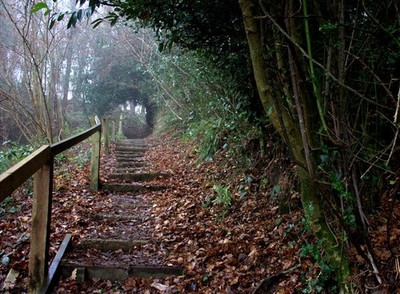 Foto 12x8 Stufenwanderweg von Balcombe Mill Dieser Weg ist eine Abkürzung in c2016