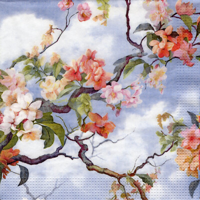 3 Cocktail Servietten ~ Frühling, Ecuador, Magnolienbaum mit Blüten ~ 25x25