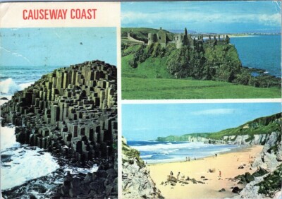 Postkarte CAUSEWAY COAST Wasser Wasserressourcen Ökoregion Bergpflanze AA00475