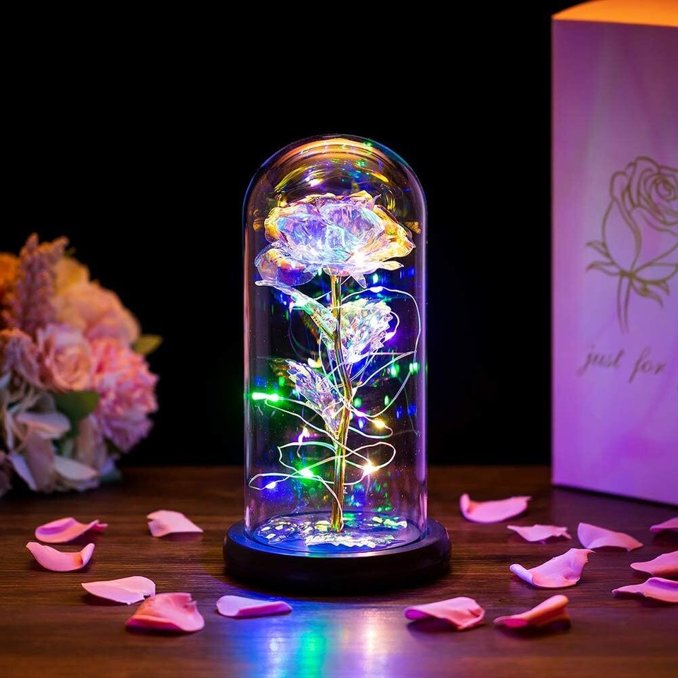 Enchanted Forever Rose Flower In Dome Glass LED Night Light ...