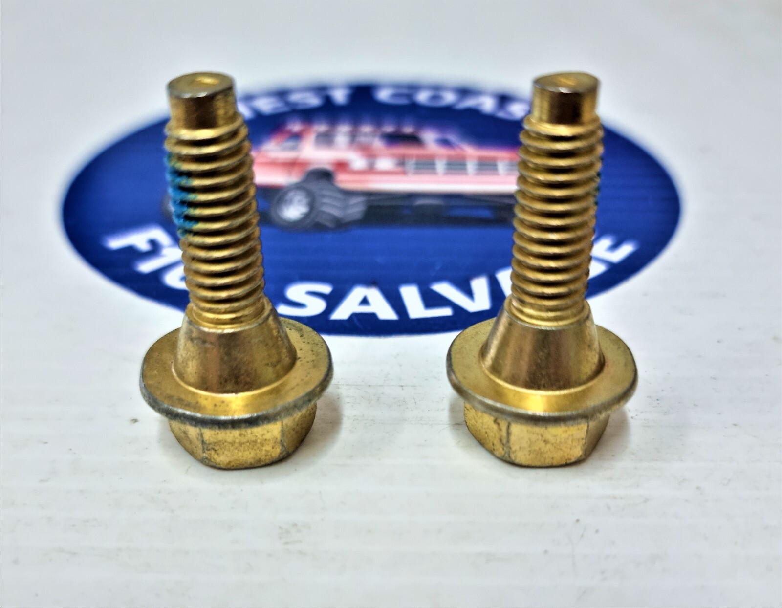 FORD F100 BRAKE CALIPER ANTI RATTLE BOLTS, FRONT X 2 75-80 F250 F350 ...