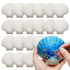 20 PCS Large Scallop Shells Crafts 45 Inch Natural White Bulk Decor Painting