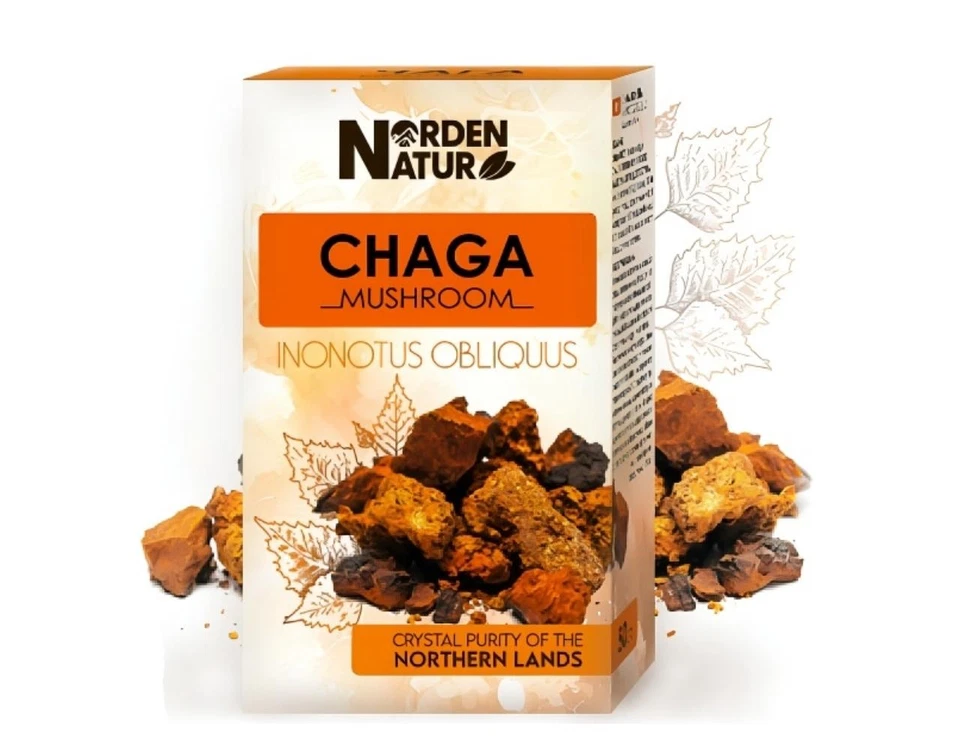 Birkenporling Chaga 4 x 50 g Schiefer Schillerporling Norden Natur Tschaga Чага - Bild 2 von 4