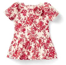 American Girl JANIE and JACK FLORAL TOILE DRESS Red Roses