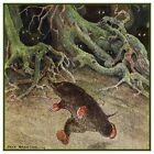 Character Mr Mole Running Story Wind in Willows Counted Cross Stitch Pattern