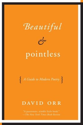 Schön & sinnlos: Ein Leitfaden für moderne Poesie von Orr, David [Taschenbuch]