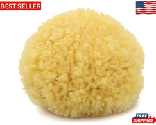 Natural Sea Sponge Bath-Shower Large 1 Count By Bass Brushes Natural Sea Sponge 