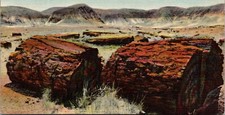 Agatized Logs Petrified Forest Nat'l Park Arizona Linen Postcard