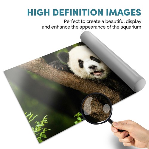 Fish Tank Background 90x45cm - Panda Bear Cub China Baby  #14565 - Picture 2 of 8
