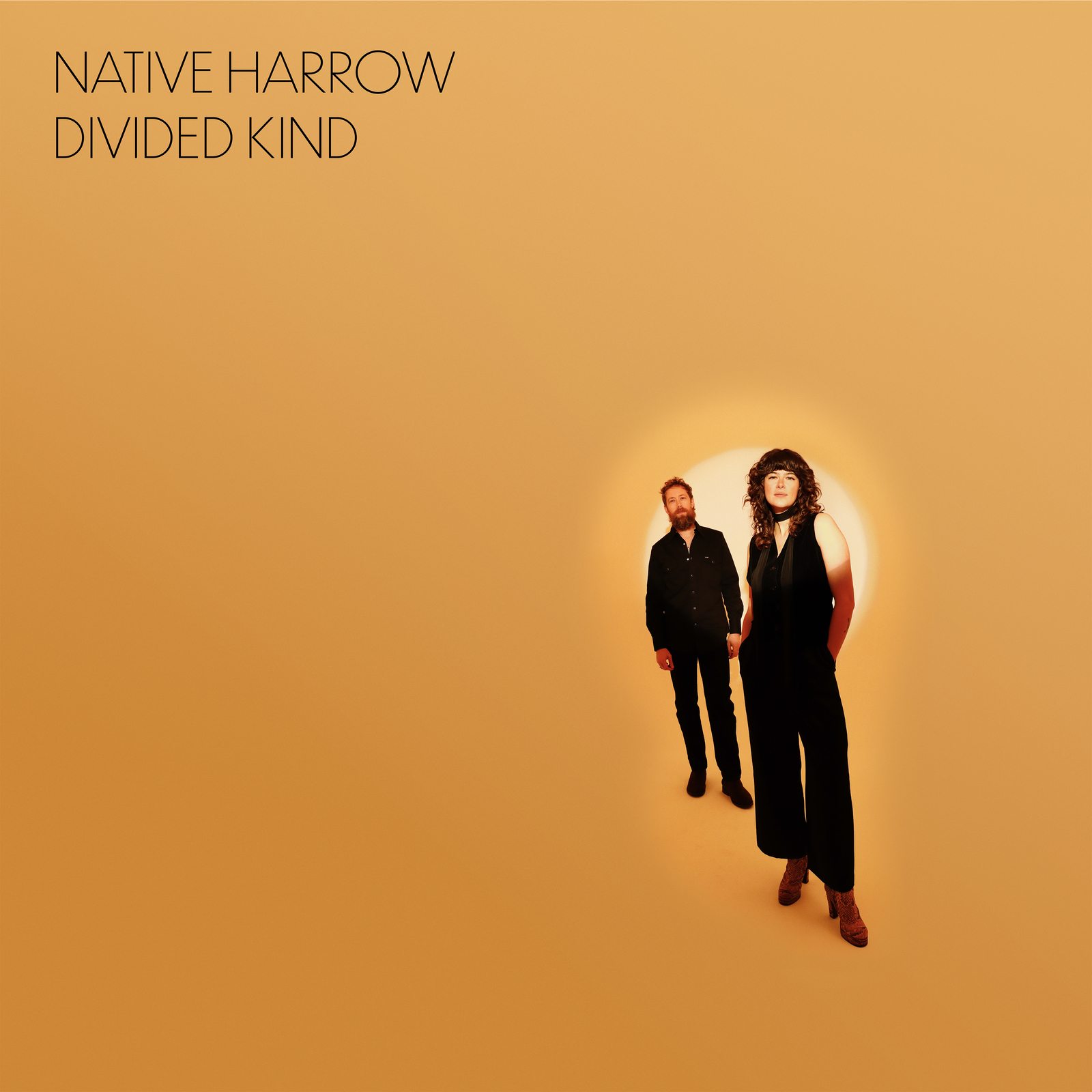 Native Harrow Divided Kind (Vinyl LP) 12" Album (PRESALE 13/09/2024)