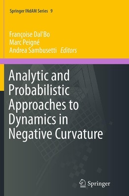 Analytic and Probabilistic Approaches to Dynamics in Negative Curvature François
