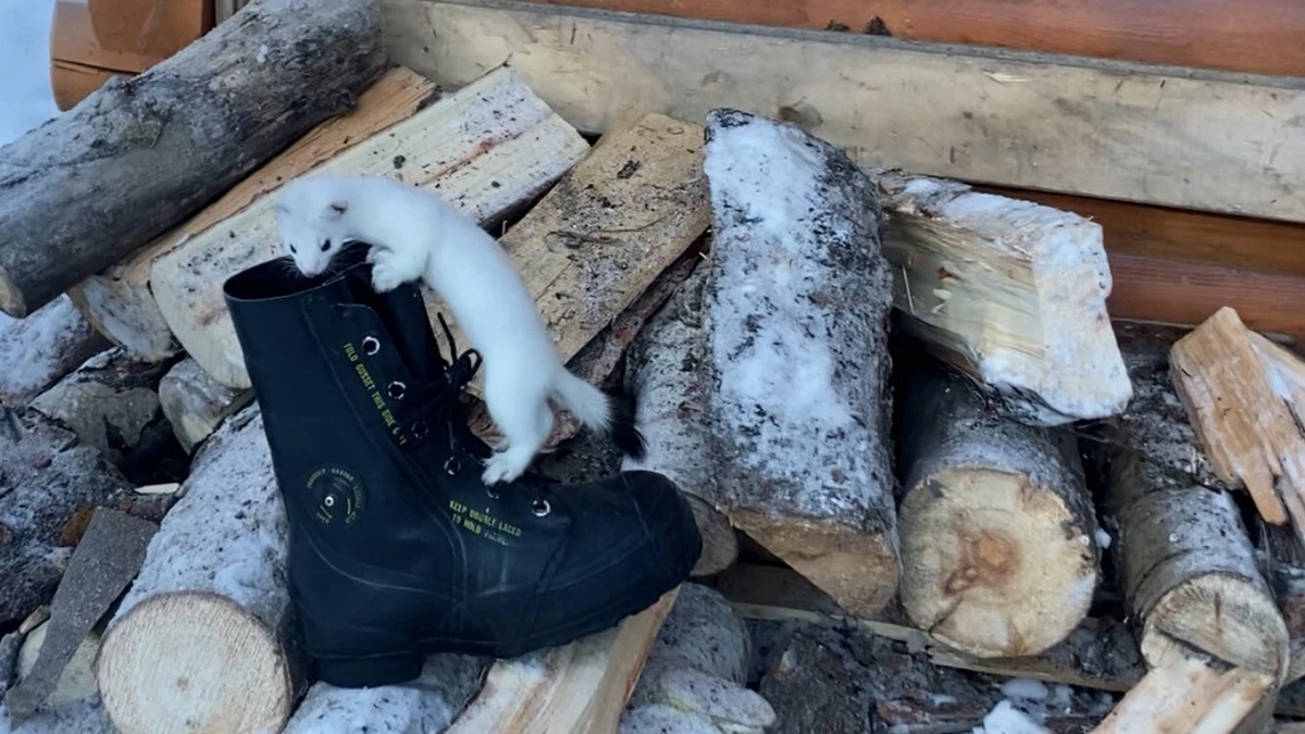 SALE 8W 9W Bata Bunny Boots Extreme Cold Weather 0 F. 20F NEW