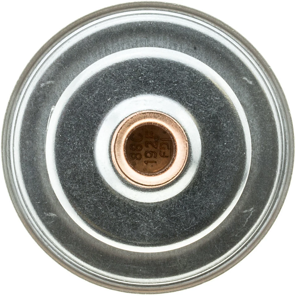 Puertas termostato 195f OE 33209 Foto 3 de 3