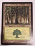 Forest (Large Middle) - Portal - Magic the Gathering MTG Nice!