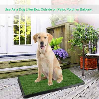 Dog Litter Box Dog Porch Potty Diy Porch Potty For Dogs Dog Litter
