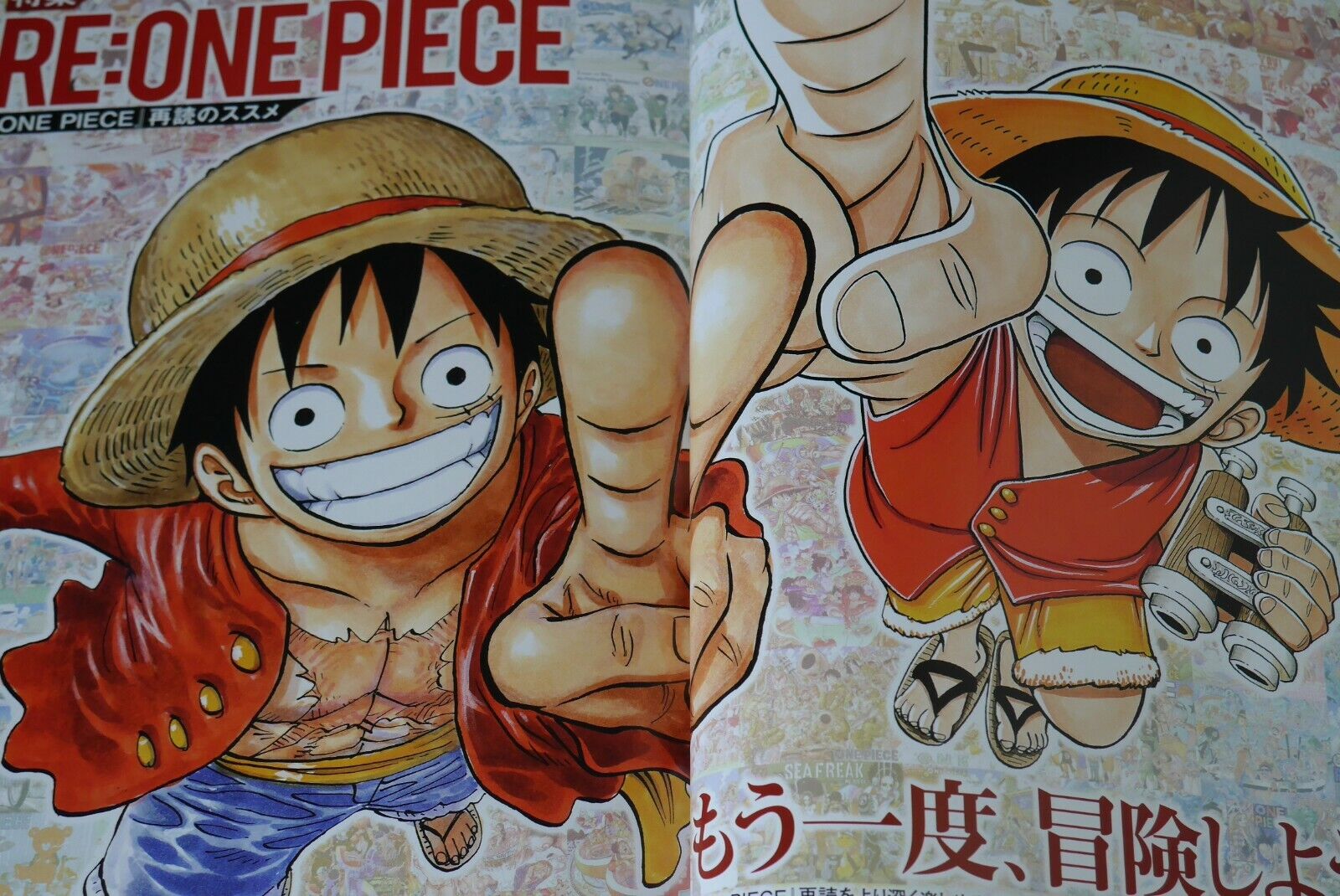 OROJAPAN on X: #ONEPIECE OP Mag Vol.14 Talks about 39 rivals in total &  Deeply Dig into 10 people of them. Also includes Special Poster of Rivals  & BOICHI Sensei's redrawn One