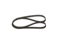 Neu - Bosch 1987946071 Keilrippenriemen FüR CitroËN Ford Ford Usa Peugeot Vw