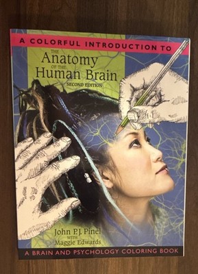 A Colorful Introduction to the Human Brain   2nd Ed   Pinel & Edwards   Like New