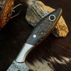7.8" EDC Hunting Damascus Knife Handmade Tang Ram Horn Handle Leather Sheath — photo 3