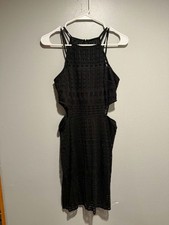 Express Lace Mini Dress Size 6