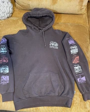 The Parks Project National Parks Pictogram Brown Hoodie Sweatshirt Small