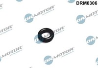 Dr.Motor Automotive DRM0306 Dichtring, DüSenhalter FüR Volvo
