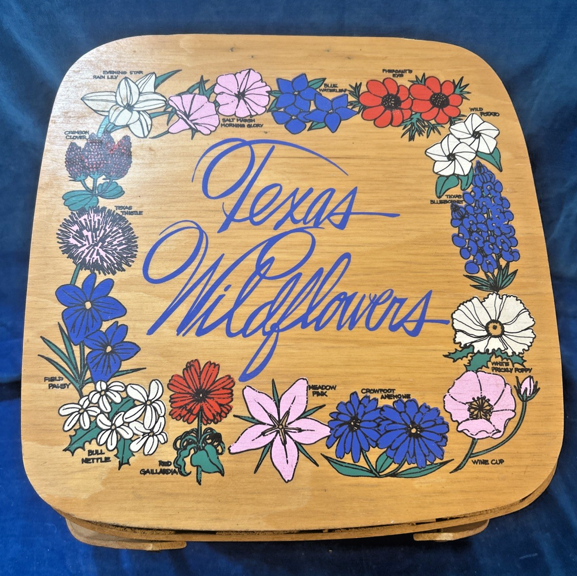 Basketville Handwoven Hand-painted Texas Wildflowers Picnic Basket