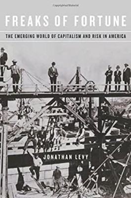 Freaks of Fortune : The Emerging World of Capitalism and Risk in