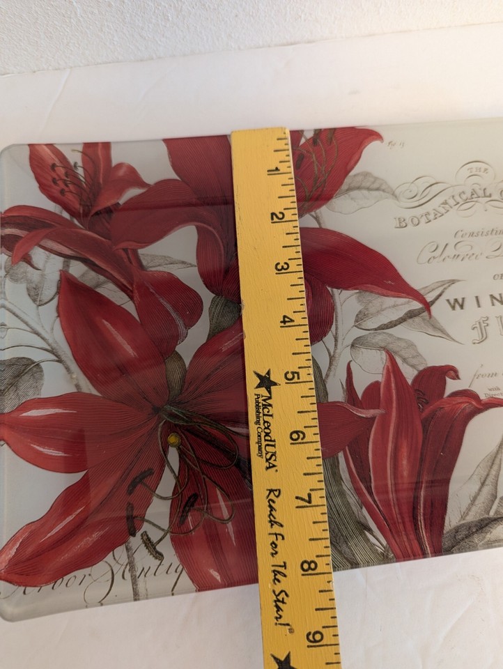 Fringe Studio Glass Winter Flora Botanical Tray 12"x8" VGC eBay
