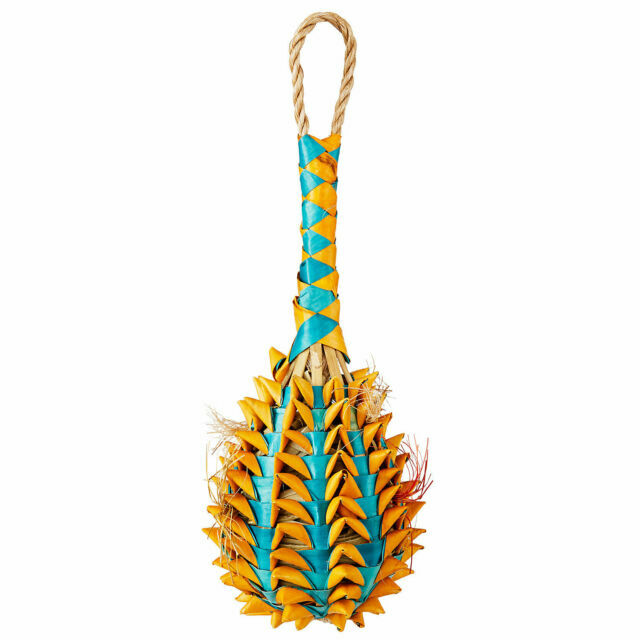 pineapple foraging toy