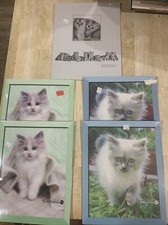 Kieth Kimberlin VNT. school Folders For Paperwork. , Cats , Kittens , Not Used 5
