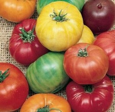 RAINBOW BEEFSTEAK MIX TOMATO SEEDS 50 GARDEN vegetables SAUCE FREE SHIPPING