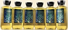QTY 6 - Bath  Body Works WICKED VANILLA WOODS Body Wash Shower Gel 10oz
