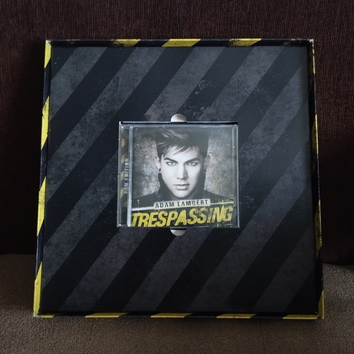 Adam Lambert Trespassing限定LP フォトカード付き 【公式通販】