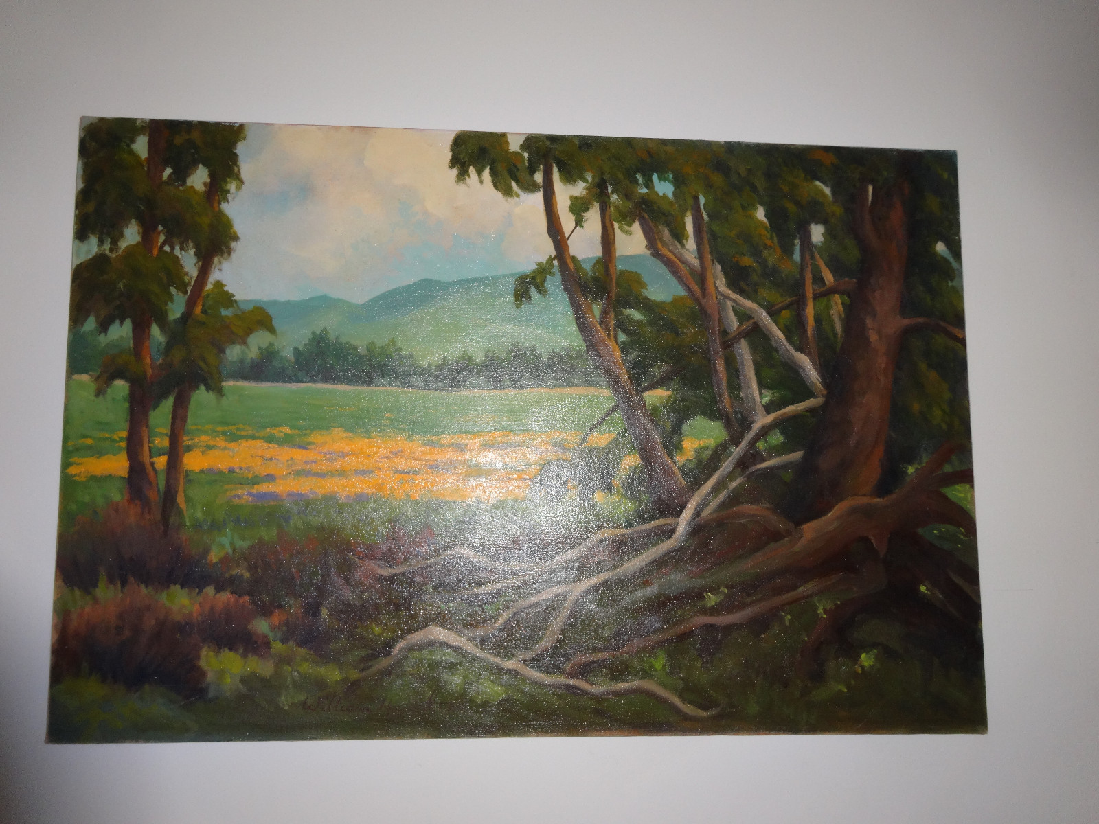 Picture 1 of 7