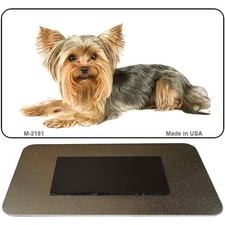 York Shire Terrier Novità Calamita Frigorifero Decorazione Casa Cucina