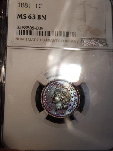 1881 Indian Head Cent NGC MS63 BN - MONSTER TONING - Incredible Eye Appeal