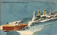 Vintage 1949 Florida Aquaplaning Linen Postcard Tichnor Bros