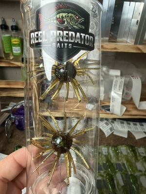 #ad Reel Predator Baits The Shockwave F Green Goblin 2.5 in pack of 2 $9.99
