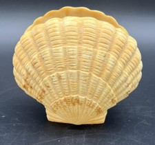 Vintage Beach Resin Seashell Bathroom Toothbrush Holder Peach Tan Cream