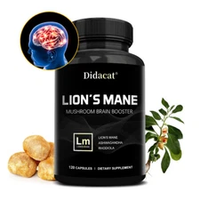 Lions Mane Mushroom Capsules | 900mg | 30 To 120 Count | Vegetarian
