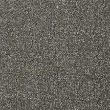 Apollo Plus Carpet- Cinder Grey  -6.5mm Pile- Free Delivery- Samples