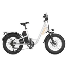 20" Electric bike for Adults, 48V 15.6AH Lithium Removable Battery, Peak 1500W