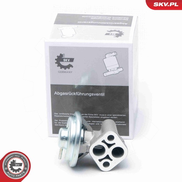 Esen SKV AGR Ventil 14SKV104 FüR Hyundai Santa FÉ 1 SM Sonata 4 EF 16V Crdi 4X4-image