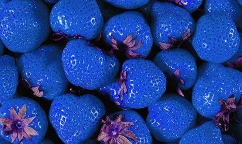 blue strawberry seeds = fresh 10 seeds = rare = free postage =