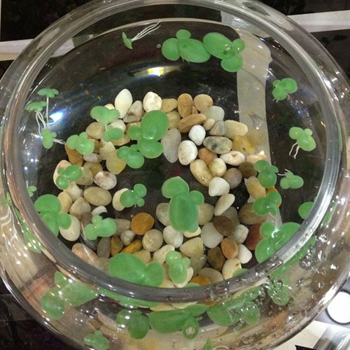 54 Pcs Aquarium Decor Aquatic Plants Simulated Duckweed Fish Tank Pond Floating - Picture 8 of 12