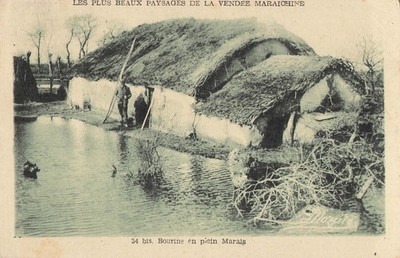 85 The most beautiful landscapes of the Vendée maraîchine 51779