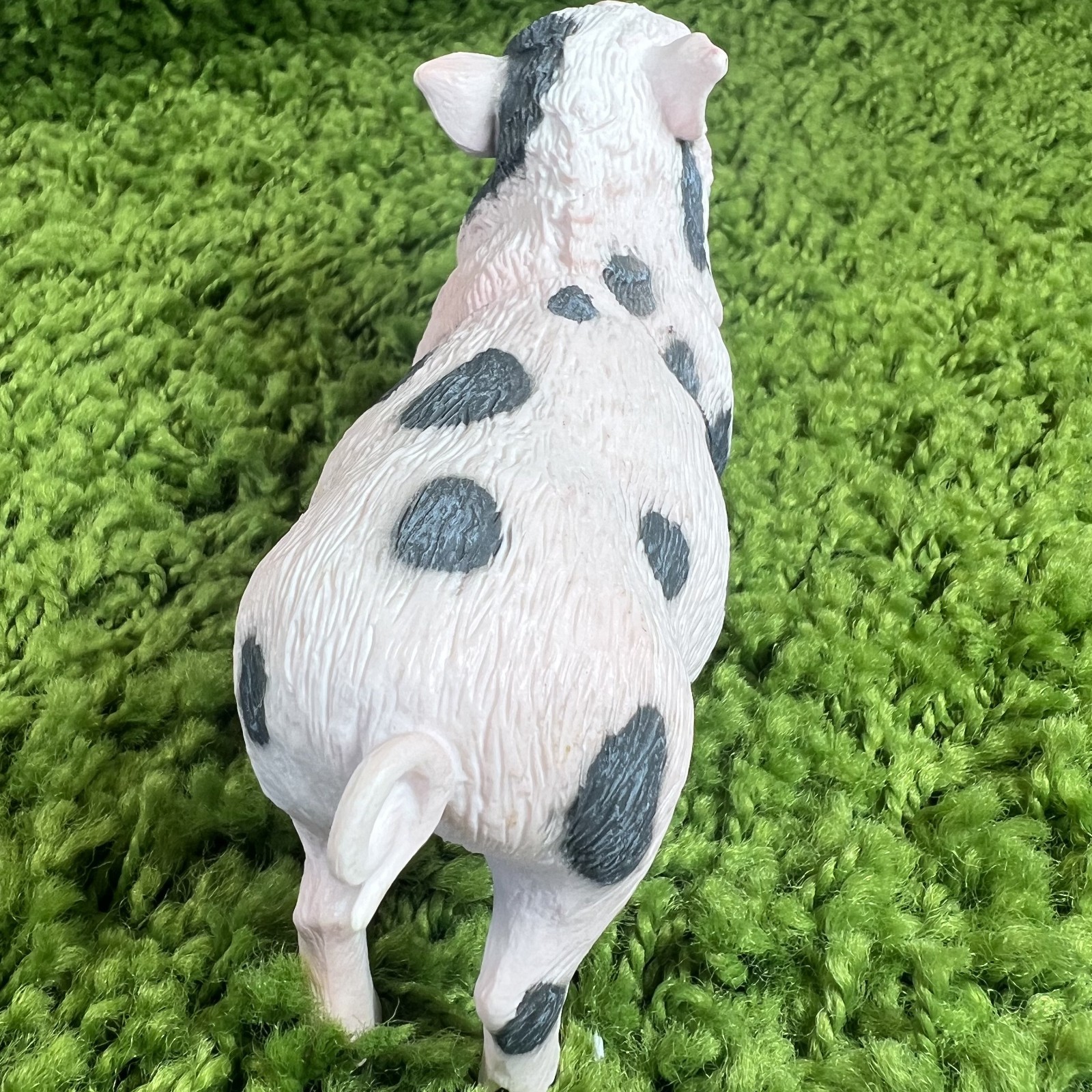 Safari LTD Pot Bellied Pig Figurine Realistic 5 Inch Plastic Model Figure Toys