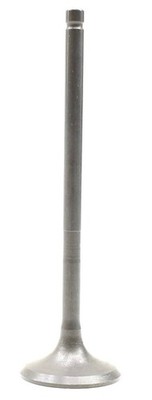 NEW OEM Ford Engine Exhaust Valve 9S4Z-6505-A Ford Lincoln 2.0L 2.3L 2.5L 01-25